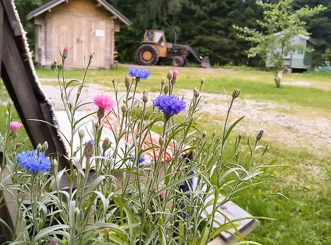 Kulttuurikartano Pekan Pirtit Bed & Breakfast Haapavesi